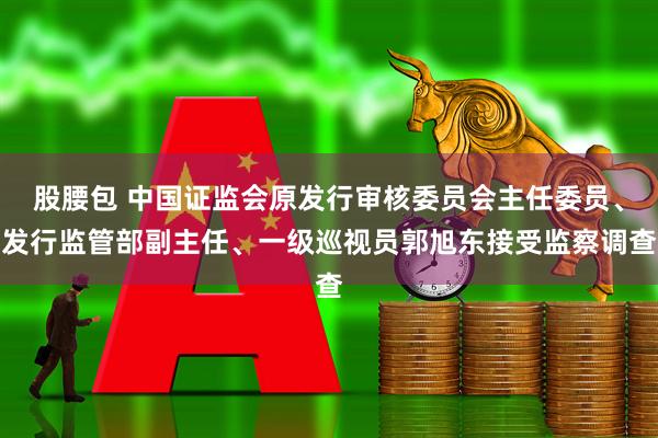股腰包 中国证监会原发行审核委员会主任委员、发行监管部副主任、一级巡视员郭旭东接受监察调查
