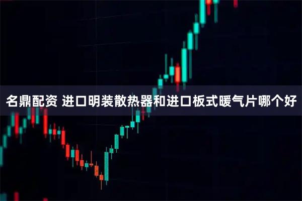 名鼎配资 进口明装散热器和进口板式暖气片哪个好